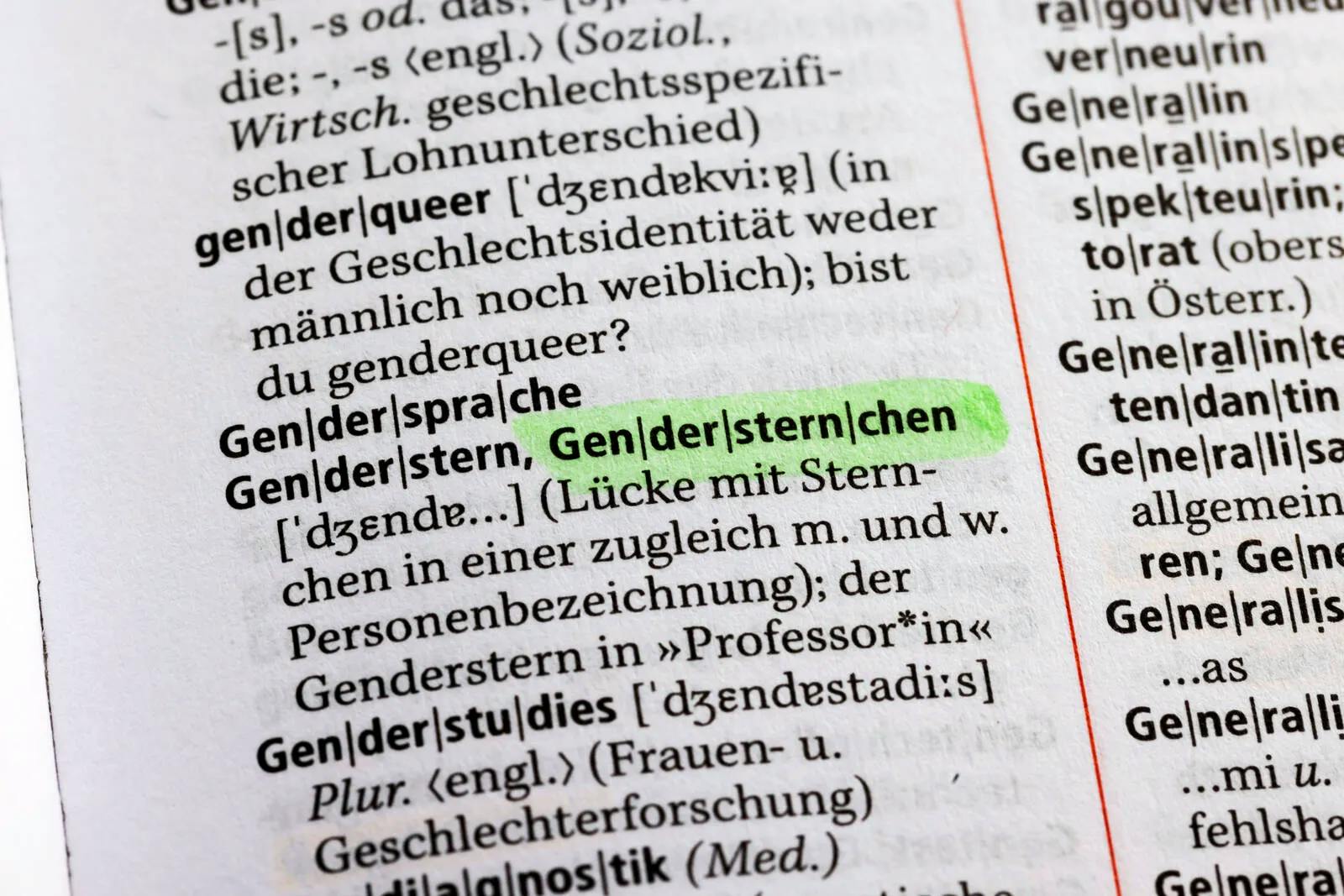 AfD Sachsen fordert Verbot von Gendersprache in Behörden