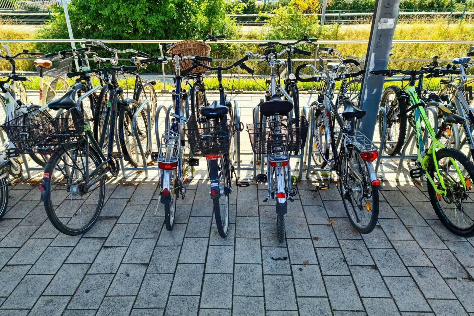 Kiel: Fahrradkurse für Frauen mit Migrationshintergrund