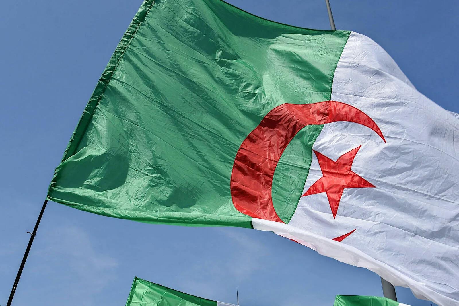 Frankreich: Algerische Jugendliche stürmen Dorffest und stoßen auf unerwartete Reaktion