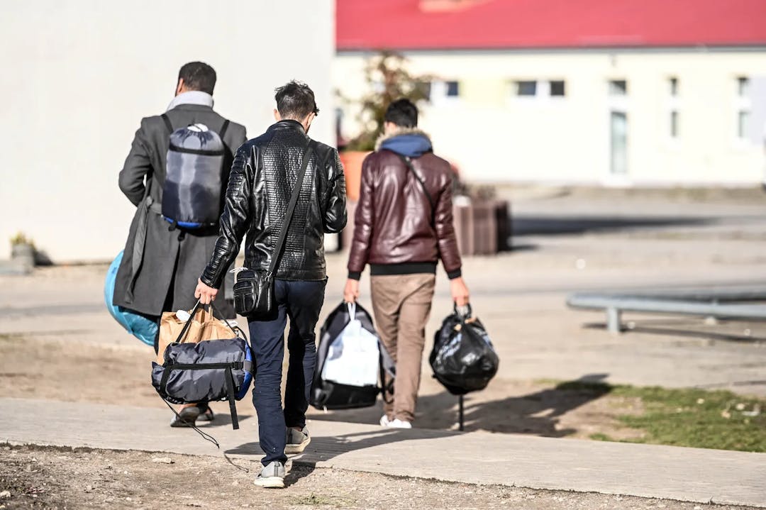 Nach Gerichtsurteil: AfD fordert Überprüfung des Asylstatus aller Syrer in Sachsen