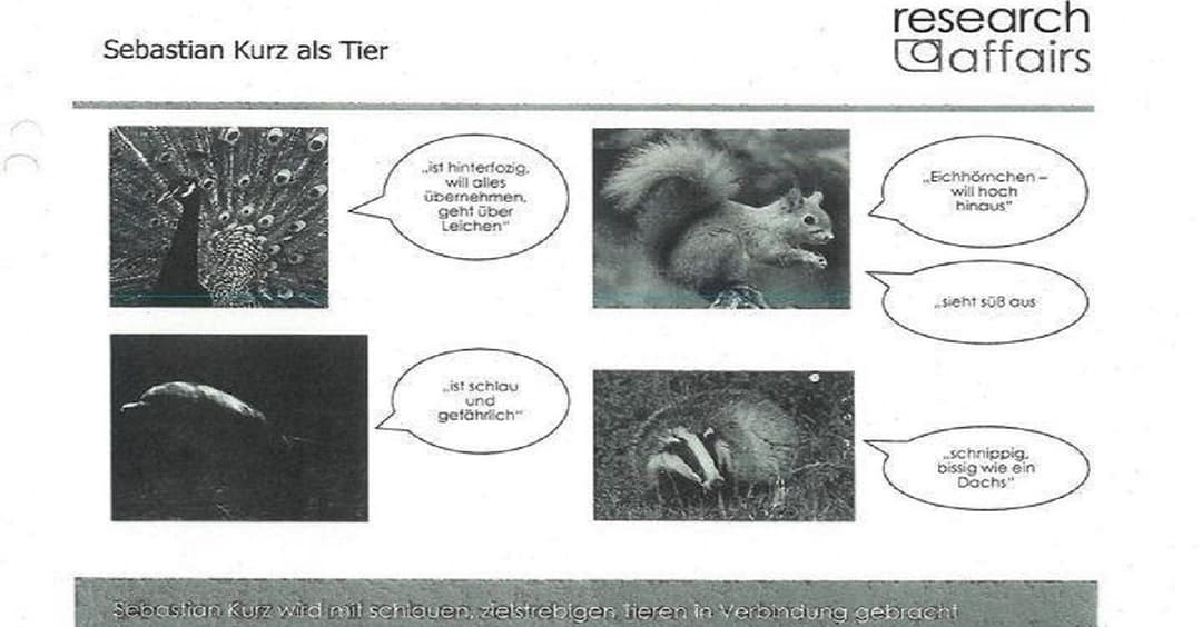 DOKUMENTIERT: Die Beinschab-Studie