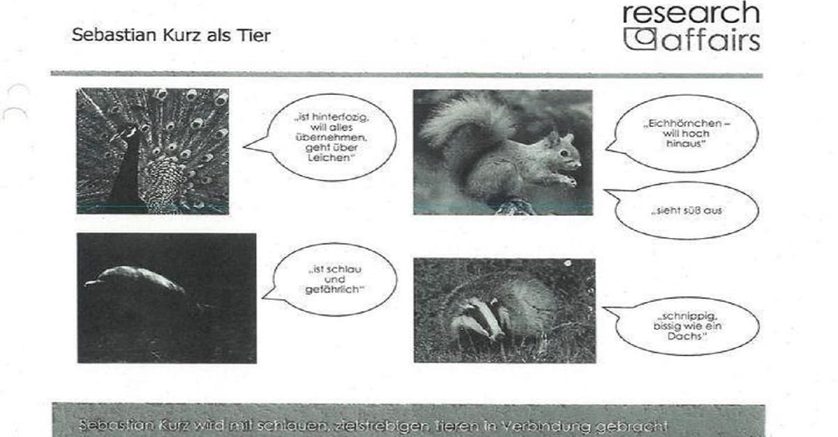 DOKUMENTIERT: Die Beinschab-Studie