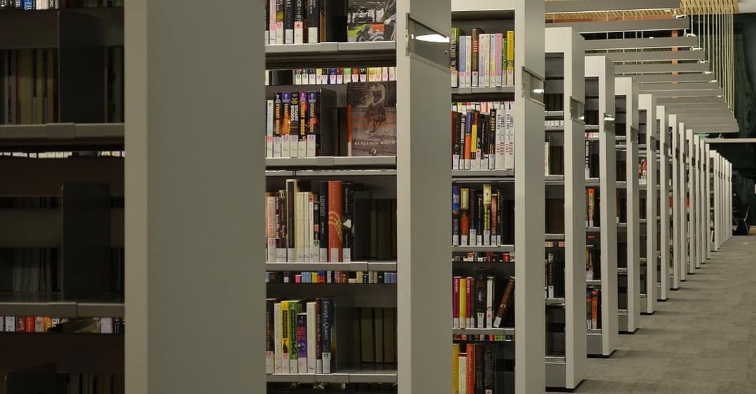 Nach FPÖ-Kritik: Kloepfer-Bücher bleiben doch in Stadtbibliothek