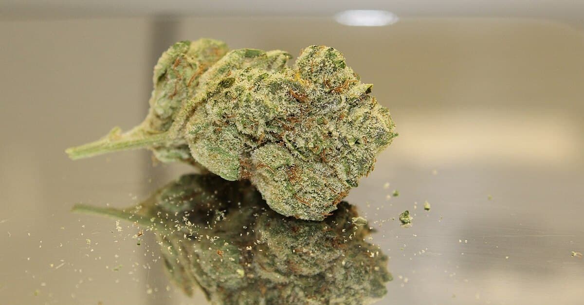 Fehlende Cannabis-Therapie: Asylwerber darf nicht abgeschoben werden