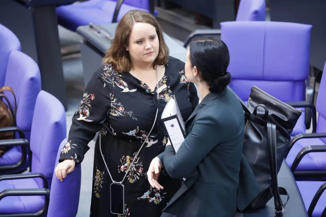 Demokratiefördergesetz soll AfD-Mitglieder zum Ausstieg bewegen