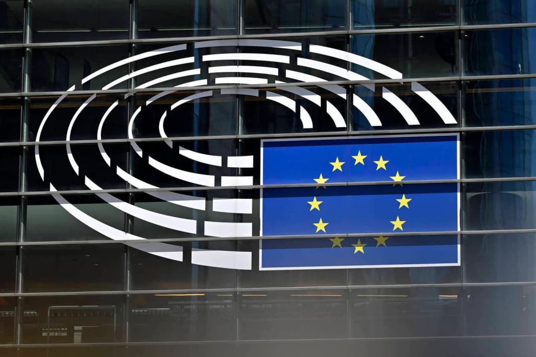 Umfragen prognostizieren Zugewinne für rechte Parteien bei EU-Wahl