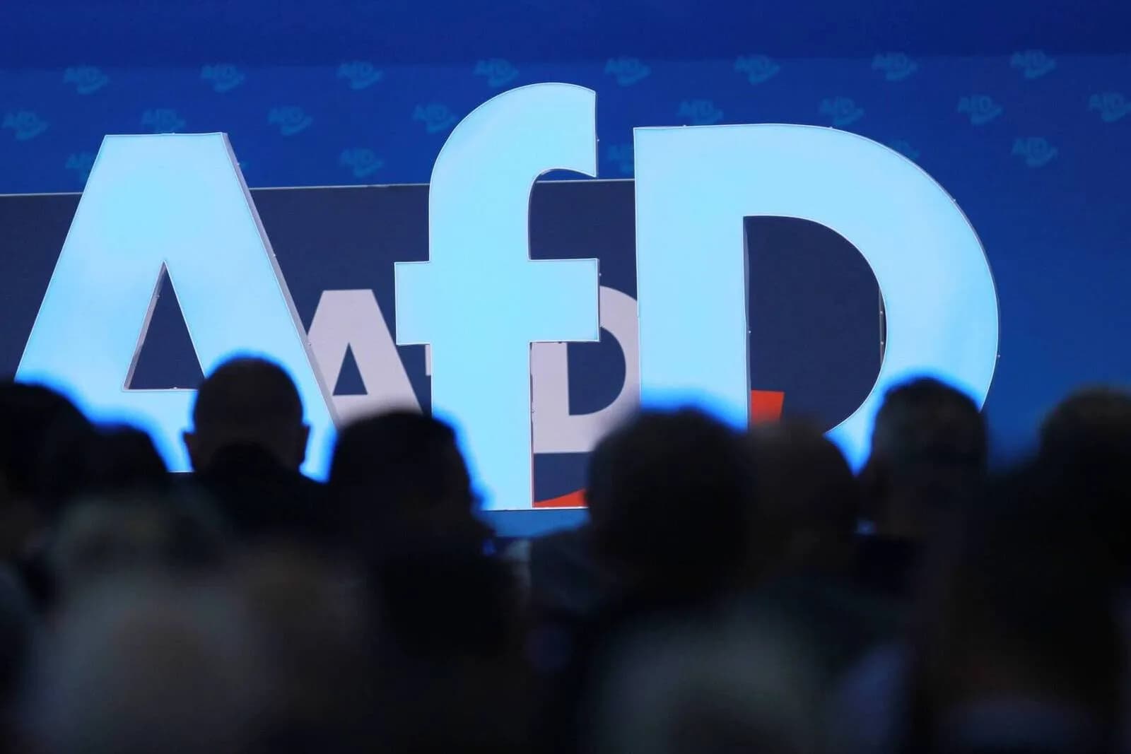 Was die zukünftige AfD-Delegation in Brüssel umsetzen muss