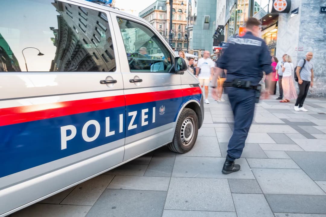 FPÖ zielt auf Grüne und SPÖ: „Kriminelle Asylwerber gefährden unsere Sicherheit“