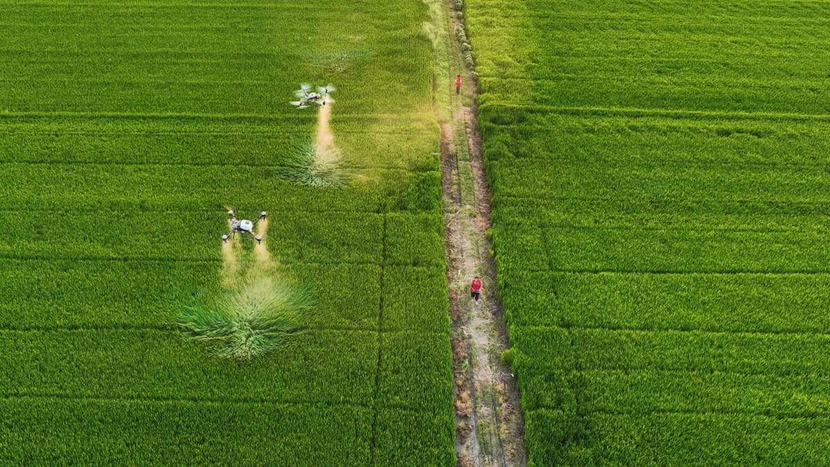 Interview mit Frank Rinck