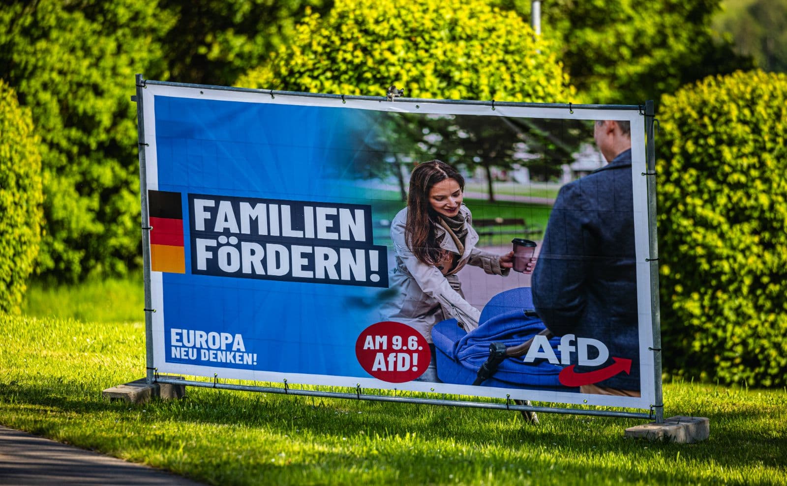 Streit um Familienpolitik: Das sagen Familienpolitiker der AfD zu möglichen Änderungen