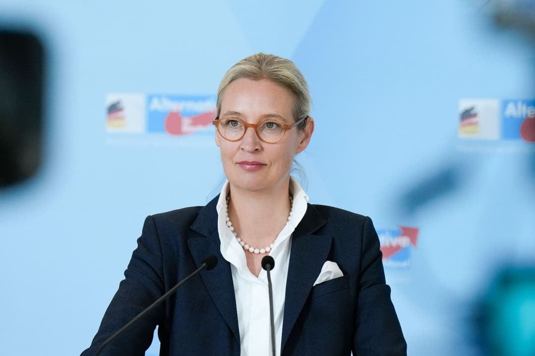Moderatoren sprachlos: Wie Weidel den Trump-Vergleich der AfD scharf konterte