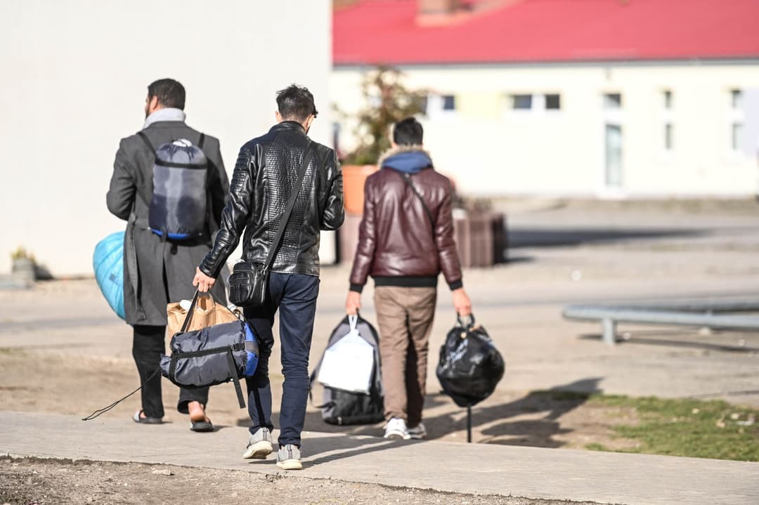 Deutschland: So viele Migranten verloren ihren Schutzstatus