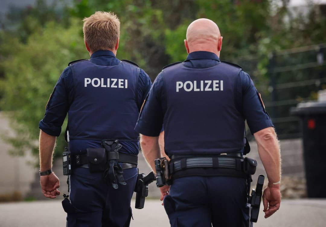 Gewalt durch Ausländer in Österreich: 157.000 Tatverdächtige im Jahr 2024