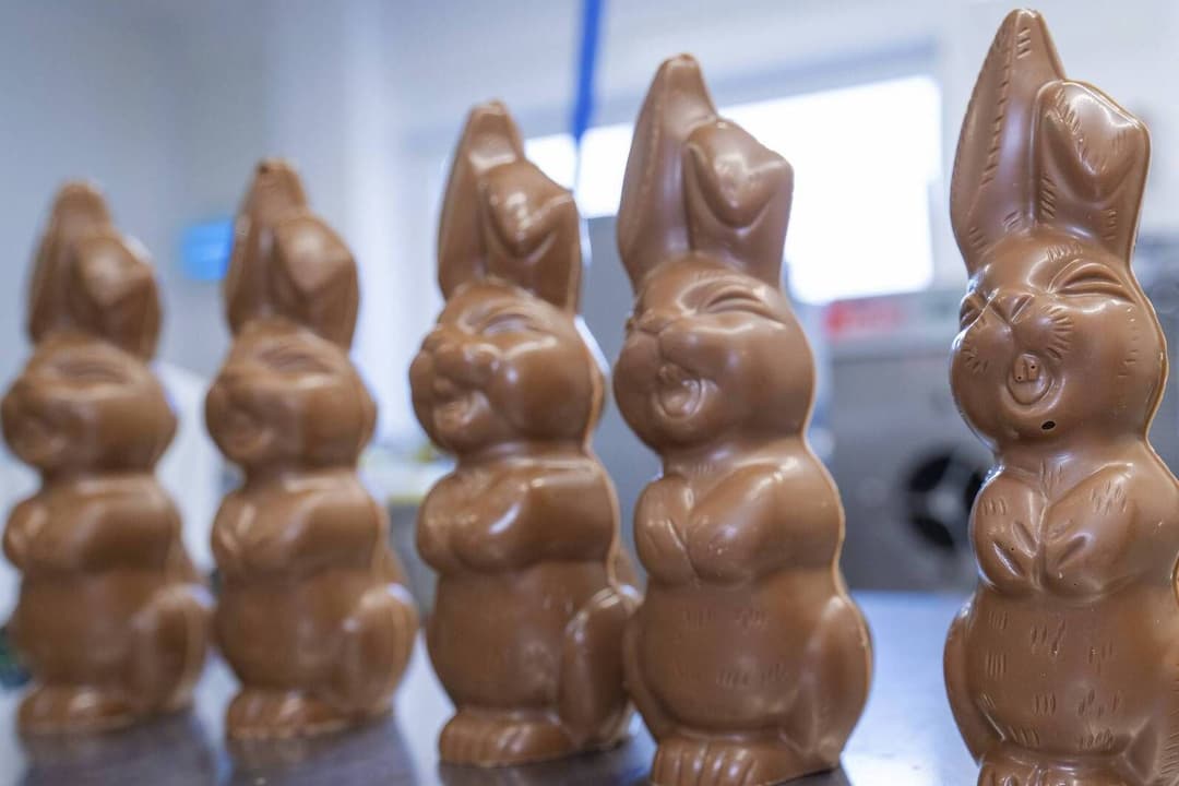 Kurz vor Ostern: Lidl wegen „Sitzhasen“ unter Beschuss