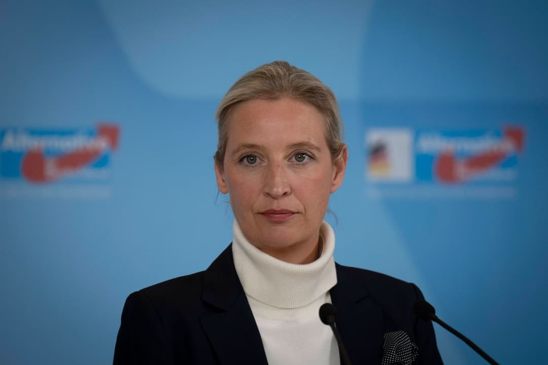 Nach Umfrageerfolg: Kritiker fordern erneut AfD-Verbot