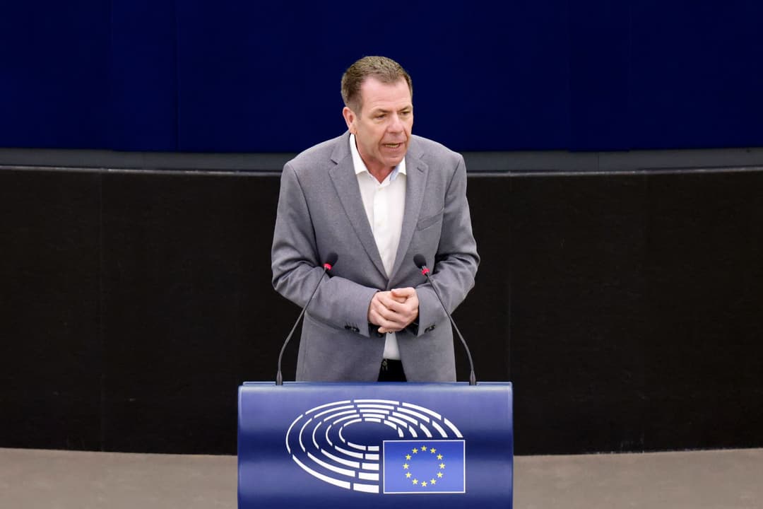 Gegen Missbrauch von EU-Geldern: FPÖ und AfD starten Whistleblower-Plattform