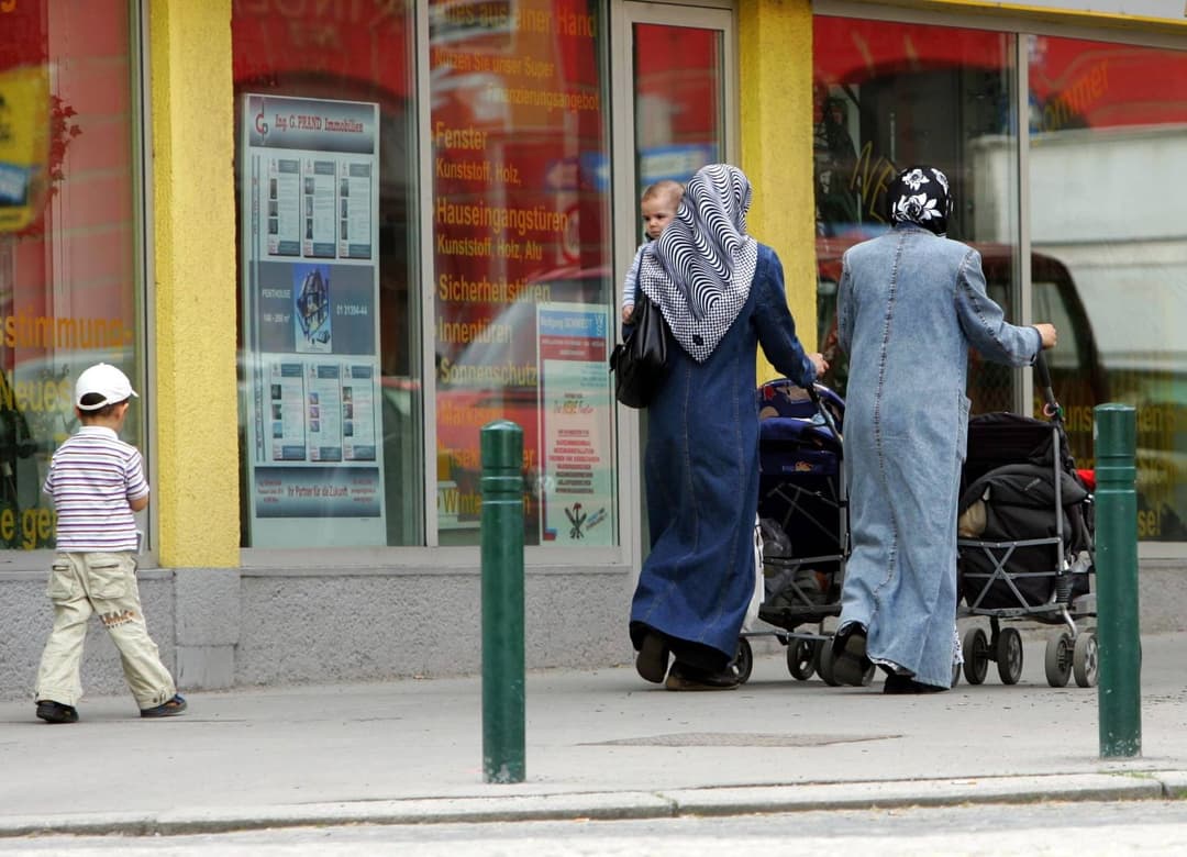 Österreich: Bevölkerung wächst – aber nur durch Zuwanderung