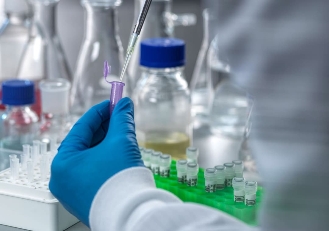 AfD fordert weltweites Verbot von Gain-of-Function-Forschung