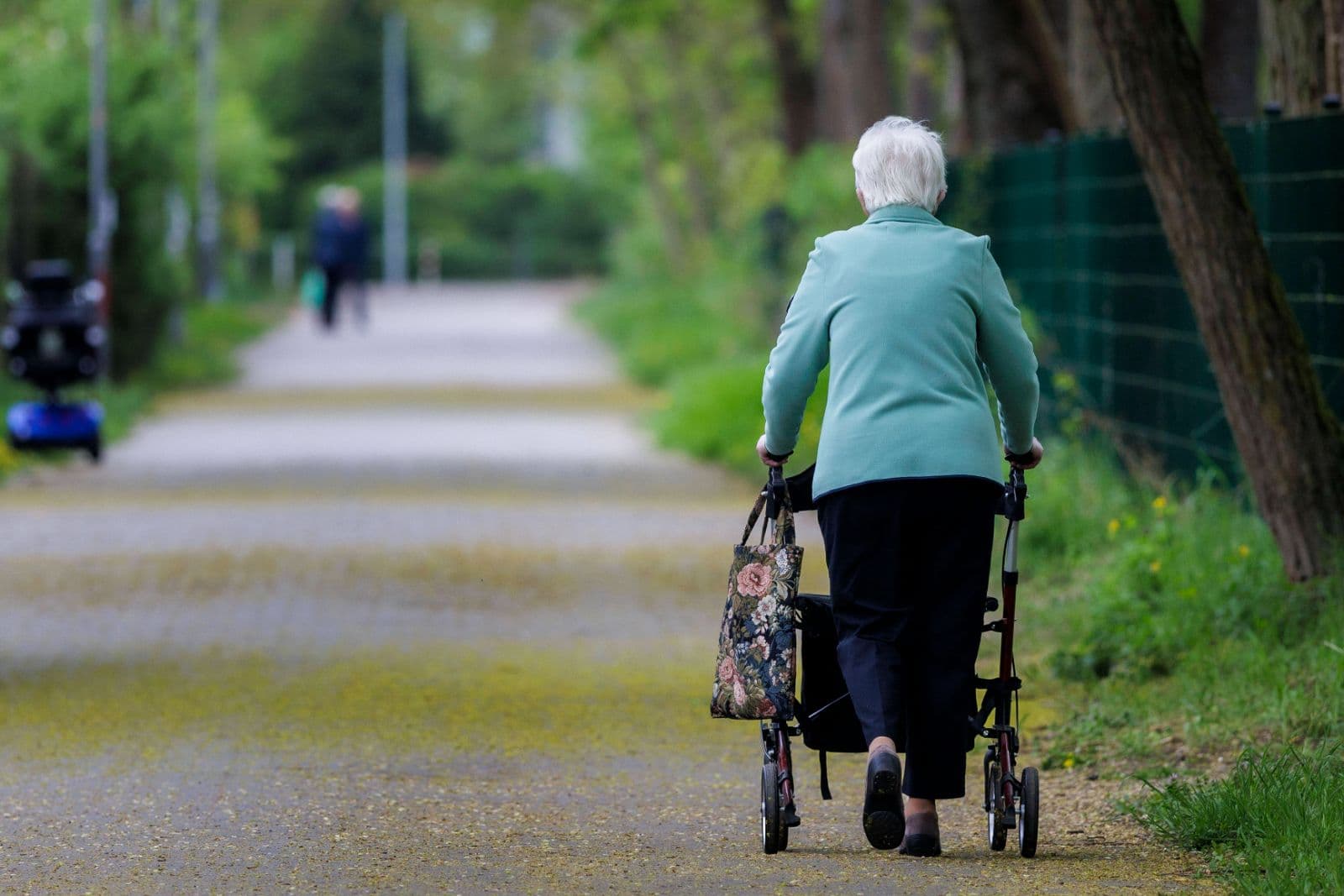 Bayern: Brandmauer zur AfD verhindert kostenloses Mittagessen für Senioren