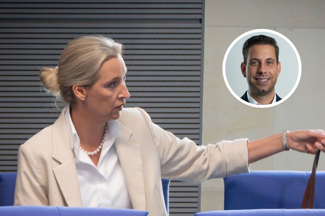 Wahlerfolge und Rekordwerte: Wer ist schuld am Erstarken der AfD?