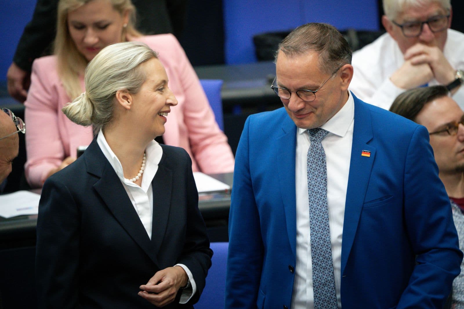 Umfrage: AfD holt auf und liegt nur knapp wieder hinter der Union