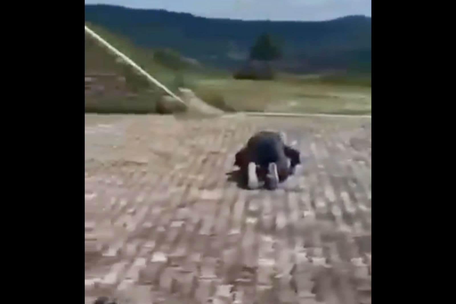 Bosnien-Herzegowina: Muslime provozierten am Denkmal gefallener kroatischer Soldaten