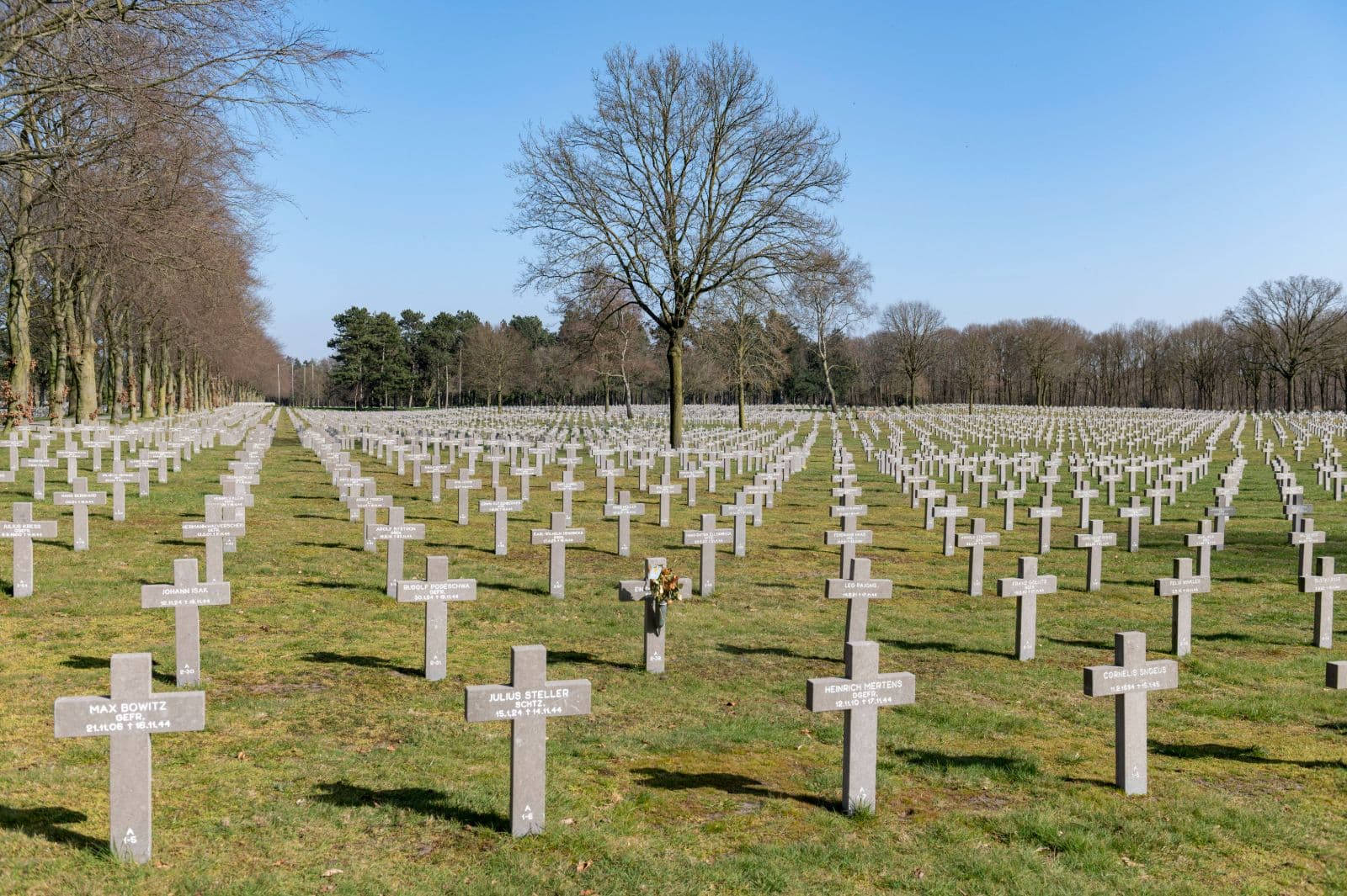 Mehr als 1,7 Millionen deutsche Kriegstote seit 1945 umgebettet