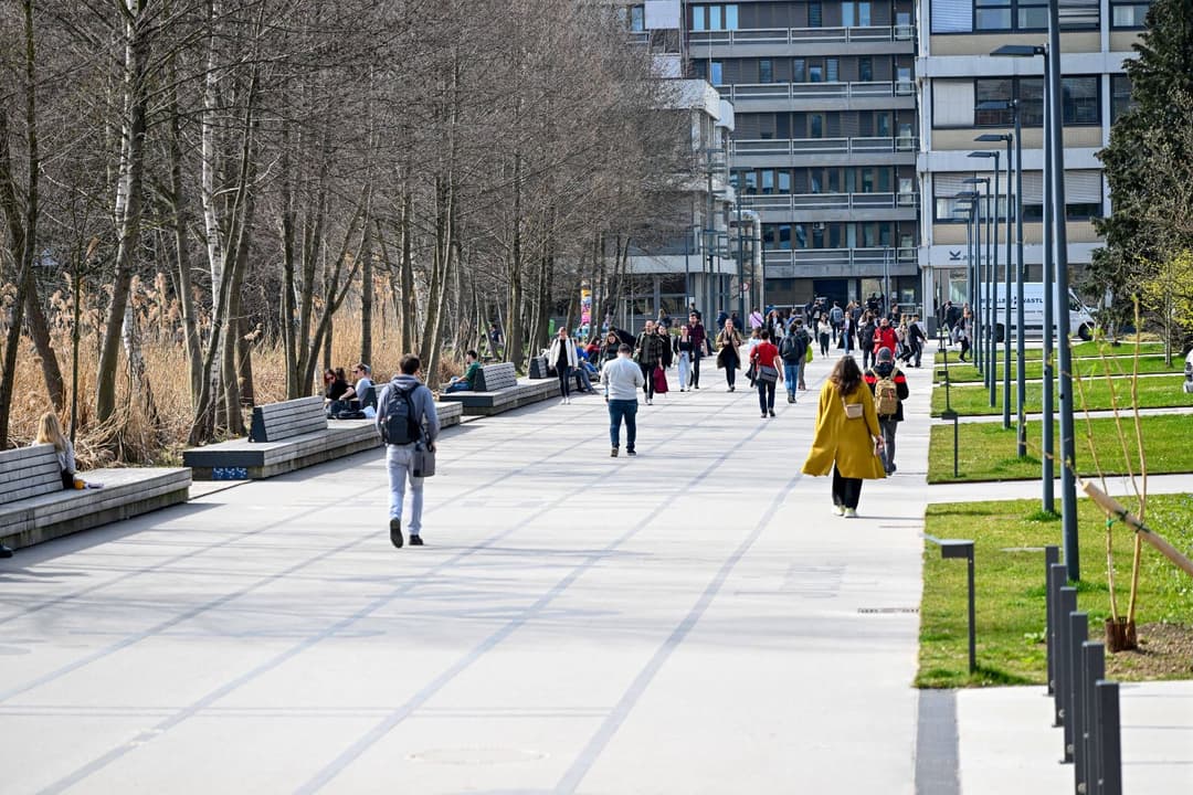 Männer ausgeschlossen: Uni Linz schreibt KI-Professuren nur für Frauen aus