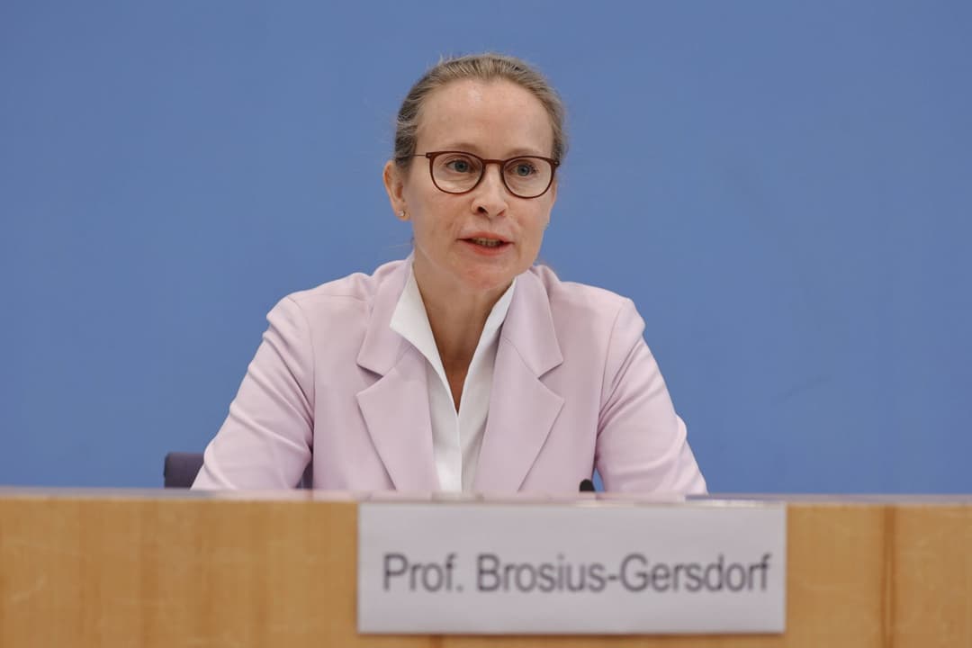 Plagiatsverdacht gegen SPD-Kandidatin für das Bundesverfassungsgericht