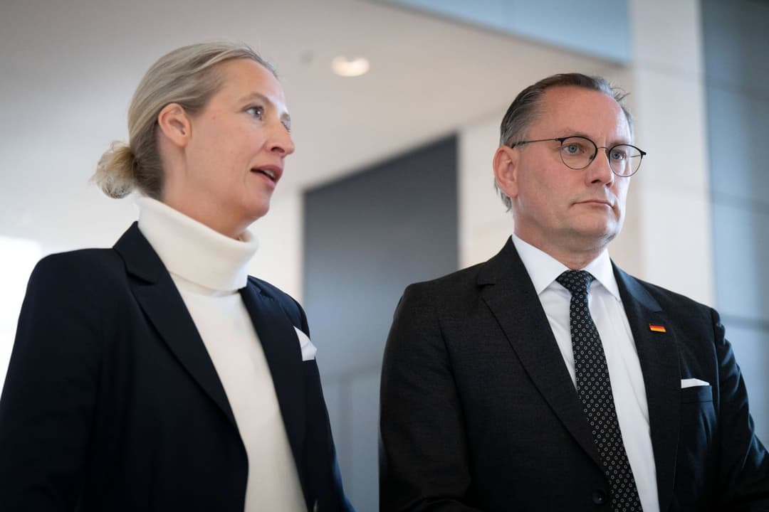 „Gesichert rechtsextremistisch“: AfD-Einstufung laut Jurist ohne Rechtsgrundlage