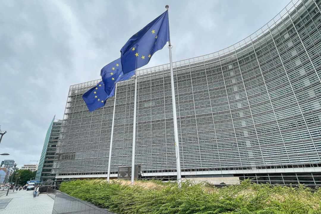 Millionen aus EU-Töpfen für Lobbyarbeit? Deutsche Regierung zeigt sich zurückhaltend