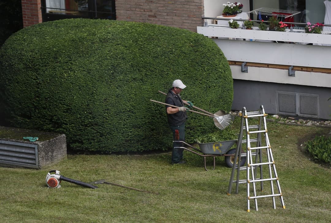 Münster: Bisher leistet kein Asylbewerber gemeinnützige Arbeit