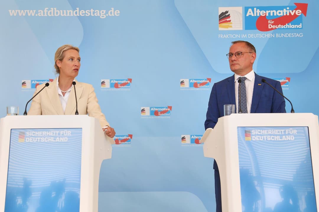 AfD, FPÖ, Le Pen und Farage: Konservative und Rechte dominieren Umfragen