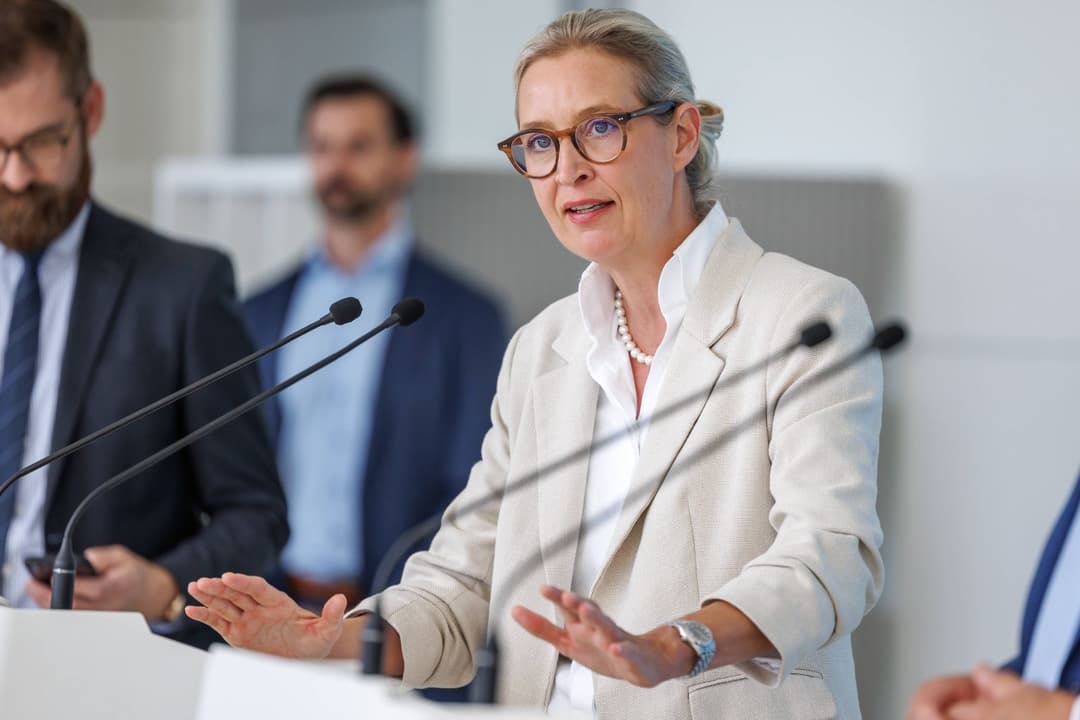 Journalist warnt: „Wenn die AfD das macht, wird sie viele Wähler an das BSW verlieren“