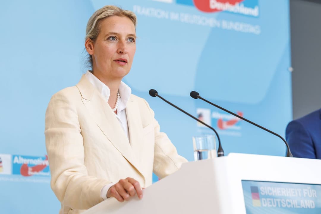 AfD bundesweit als einzige Partei bei über 20 Prozent