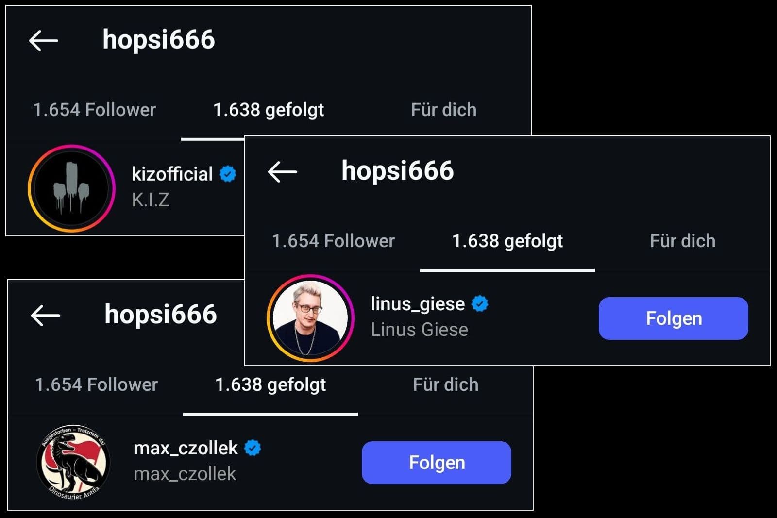 Screenshot: Instagram / hopsi666