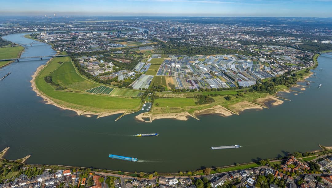 Cancel Culture auf dem Rhein: Betreiber kippen AfD-Schifffahrt