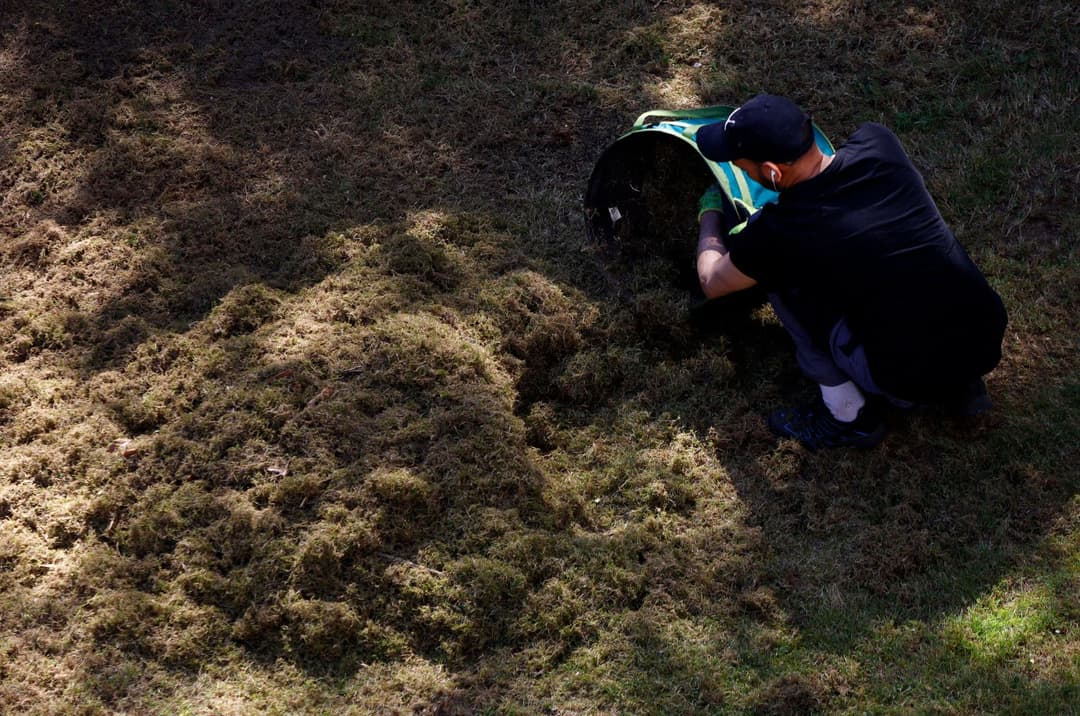Rückgang um mehr als die Hälfte: Immer weniger Asylbewerber in Sachsen zur Arbeit verpflichtet