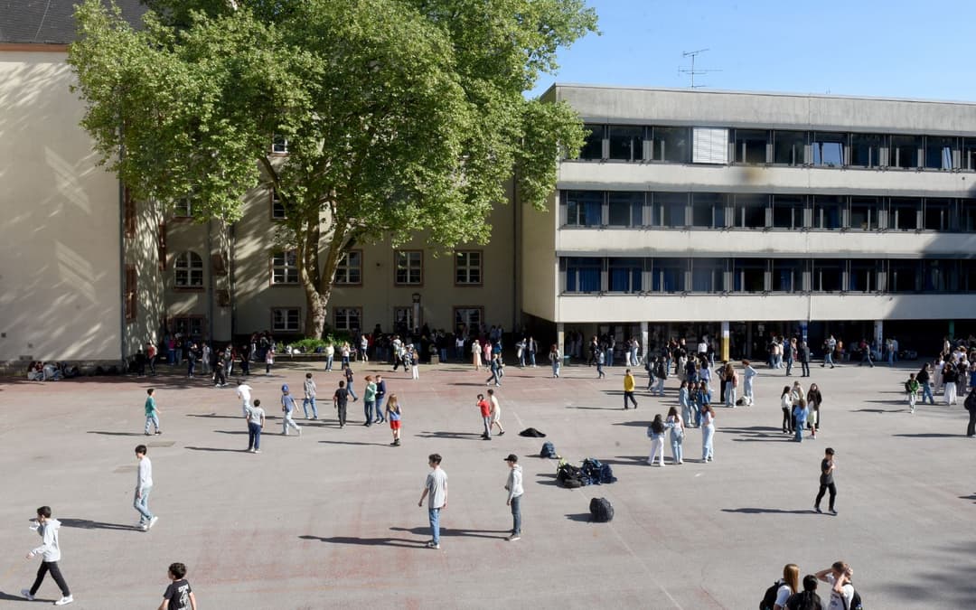 Gewalt an Sachsens Schulen: Bis zu 74,5 Prozent Ausländer unter tatverdächtigen Schülern