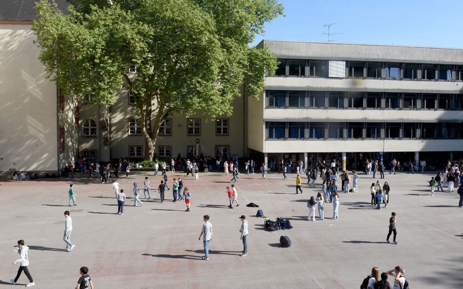 Gewalt an Sachsens Schulen: Bis zu 74,5 Prozent Ausländer unter tatverdächtigen Schülern