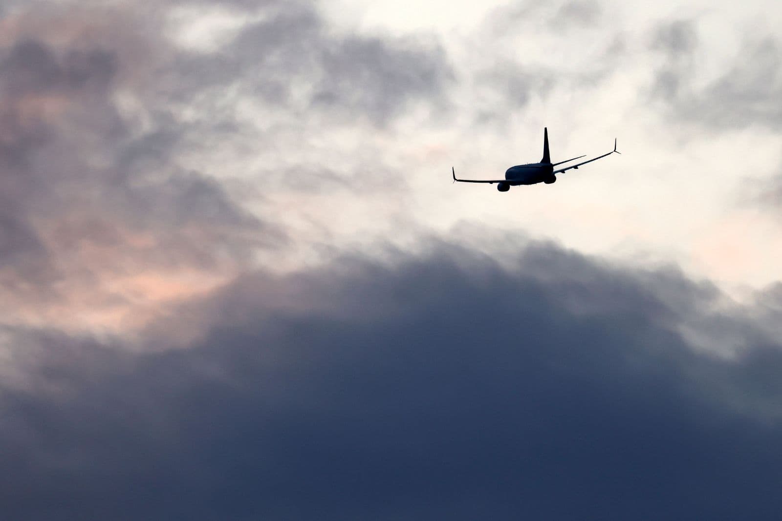 Abschiebedesaster in Sachsen-Anhalt: Jede dritte Abschiebung scheitert