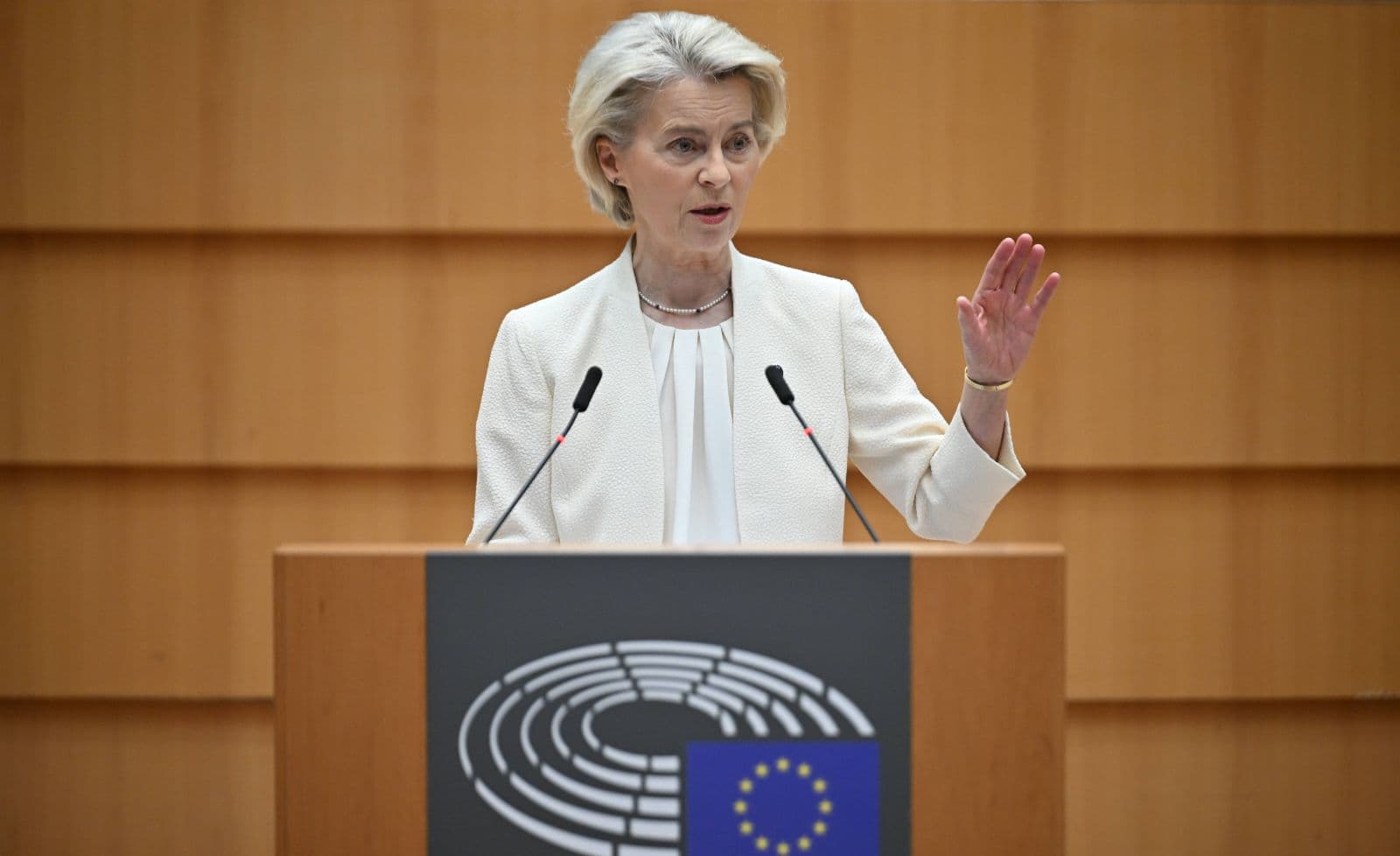 Von der Leyen will russisches Vermögen zu Kriegsanleihen umbiegen – Kritik an Plänen wächst