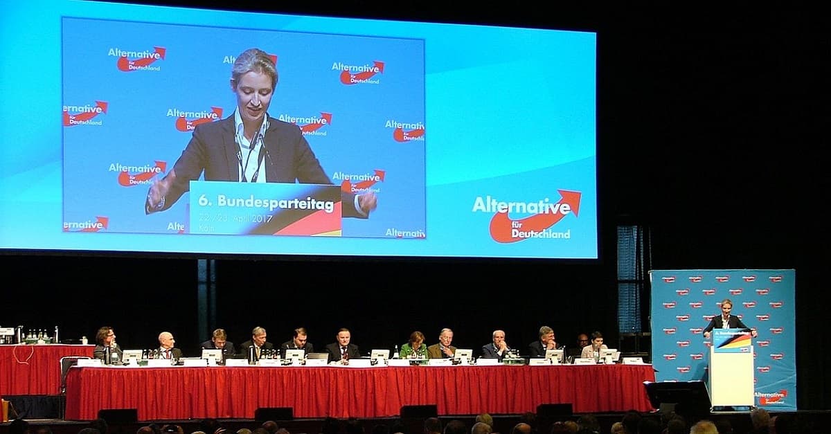 Parteitag: AfD-Vertreter wollen über Unvereinbarkeitsliste abstimmen