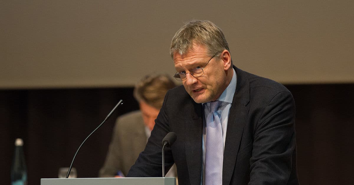 Meuthen (AfD) kritisiert Beobachtung der Identitären Bewegung durch Verfassungsschutz