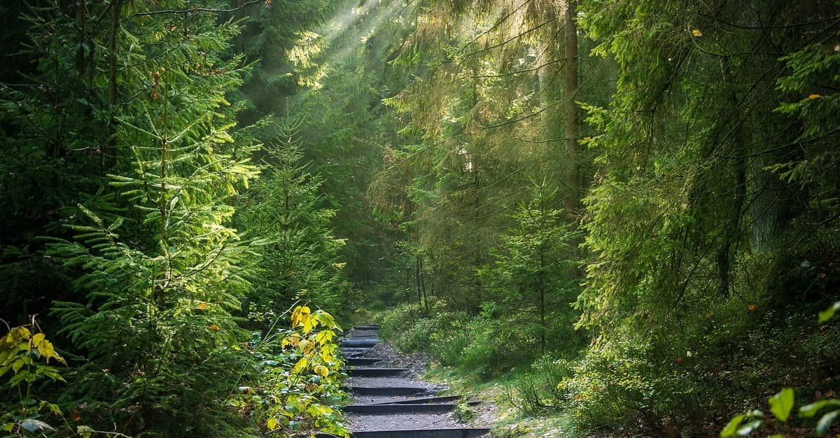 Gruppe minderjähriger Migranten soll Mädchen vergewaltigt haben