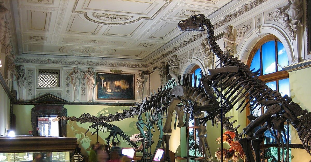 „Letzte Generation“: Hausverbot für drei Klimaaktivisten im NHM Wien