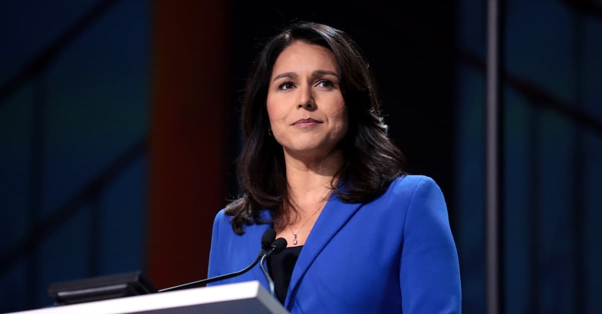 „Zu woke und anti-weiß“: Ehemalige Vizevorsitzende Gabbard verlässt Partei