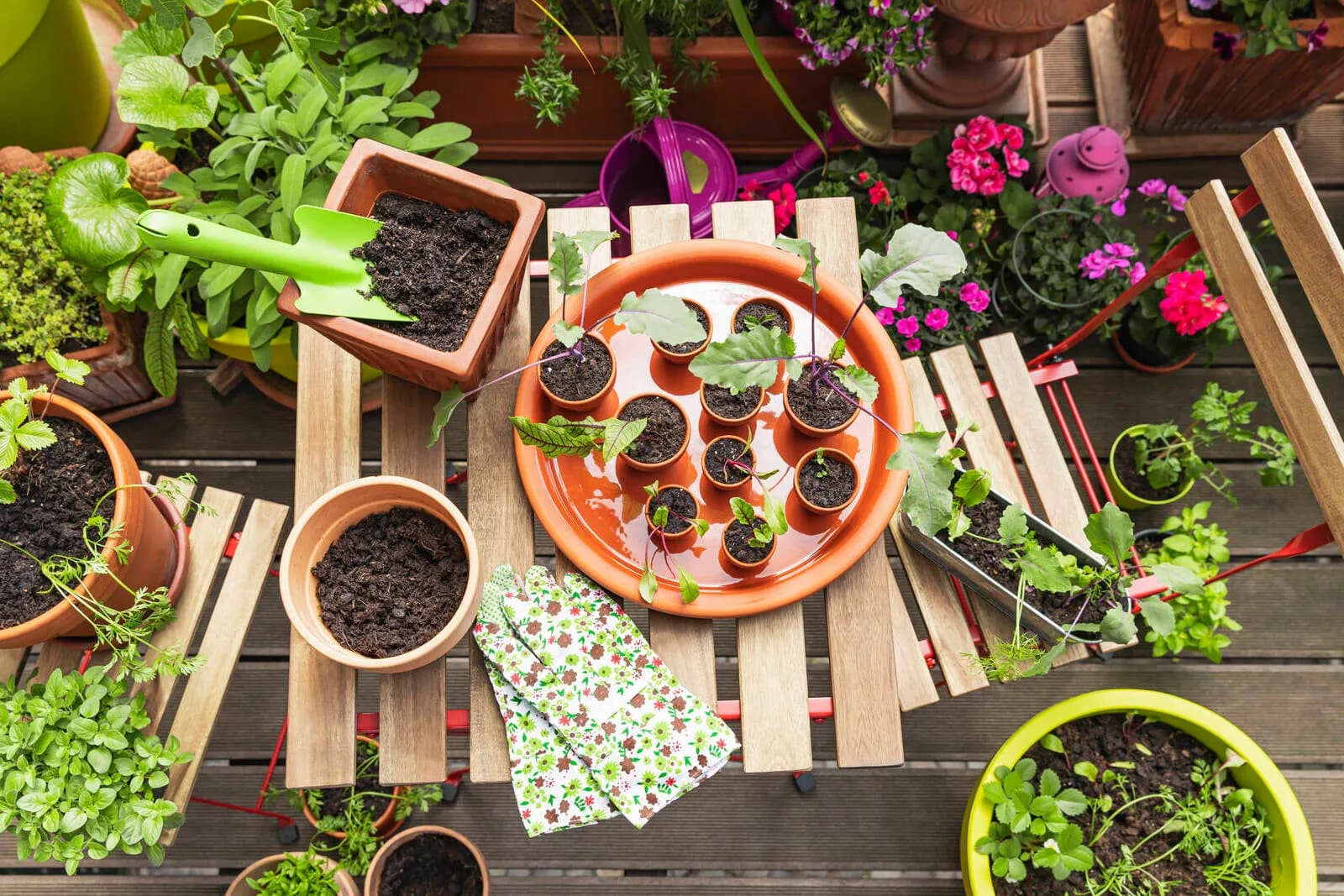 Hohe Preise, unsichere Zukunft: Der Trend zur Selbstversorgung nimmt zu