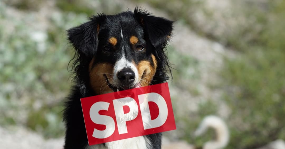 Hund als SPD-Mitglied sorgt für Verwunderung