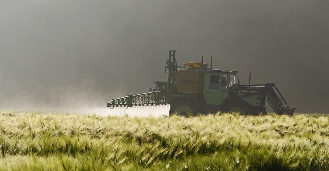 Glyphosat: Monsanto muss krebskrankem Hausmeister 289 Mio. Dollar zahlen